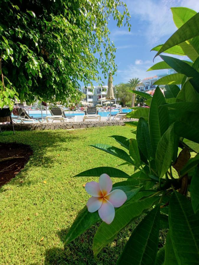 Private Apartment 150 Hg Tenerife Sur ロスクリスティアーノス エクステリア 写真